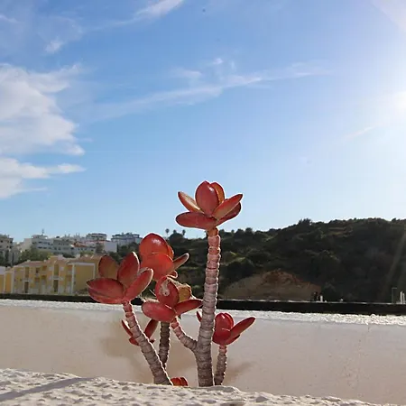 Ferienwohnung Charming Blue Albufeira Exterior foto